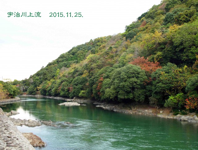 IMG_1376のコピー