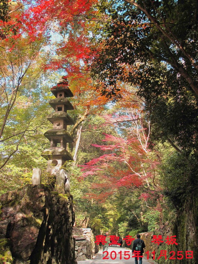 IMG_1366のコピー