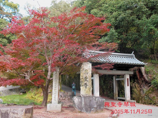 IMG_1359のコピー