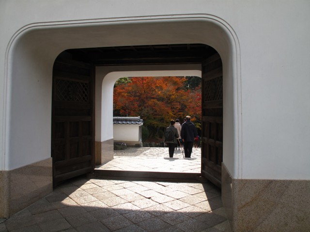1IMG_2023-2