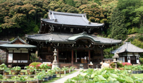 三室戸寺